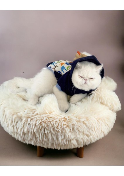 Cat Teddy Roo Kapşonlu Kedi Sweatshirt X_large 4 5 6 kg