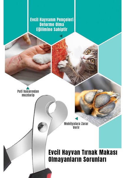 Kedi ve köpek tırnak makası, dayanıklı paslanmaz çelik ve plastik malzeme fırsatları