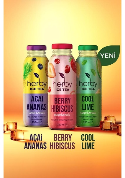 Ice Tea Berry Hibiscus Soğuk Çay Şeker İlavesiz 250 ml x 12