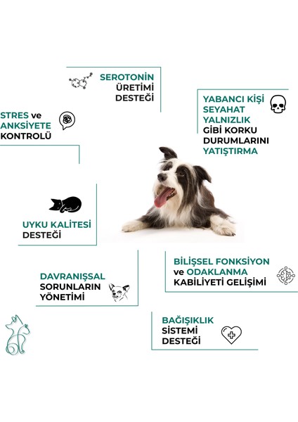 Calm Canine Formula, Köpekler Için Bitki Özlü Sakinleştirici Rahatlatıcı Takviye, 60 Tablet