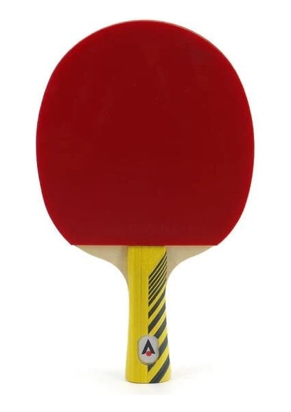 Ktt 300 Masa Tenisi Raketi