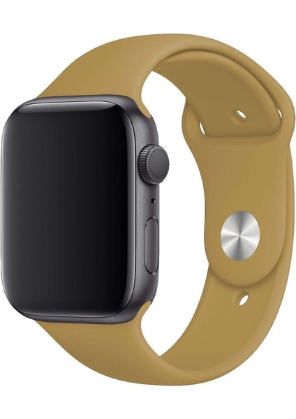 Apple Watch 3 4 5 6 7 8 S 38 40 41MM Kordon Kayış Bileklik Klasik Kaliteli Silikon Kordon