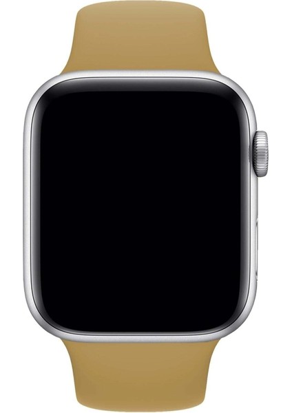 Apple Watch 3 4 5 6 7 8 S 38 40 41MM Kordon Kayış Bileklik Klasik Kaliteli Silikon Kordon