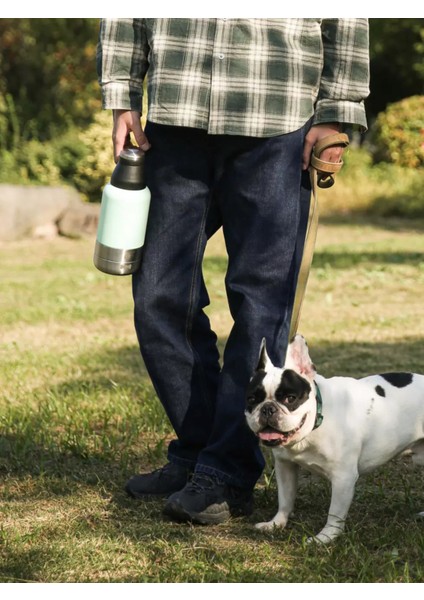 Kedi ve Köpek Için Paslanmaz Çelik Termos Mama ve Su Besleme Bölmeli - 1litre