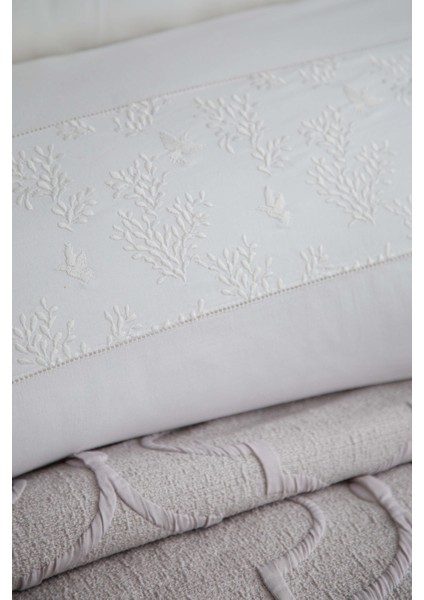 Ap C.K. Tımeless Prıme Set Serene Grı