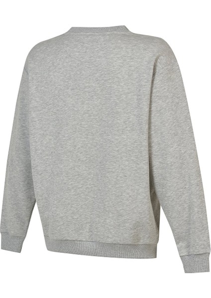MNC3411 Gri Erkek Sweatshirt fiyatları