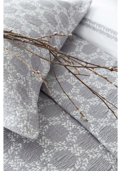 Ap C.k. Tımeless Prıme Set Crown Gray
