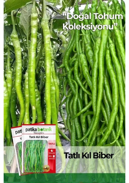 Patika Botanik 1.200 Adet Yerli Ata Tatlı Kıl Biber Tohumu (10 Gr)