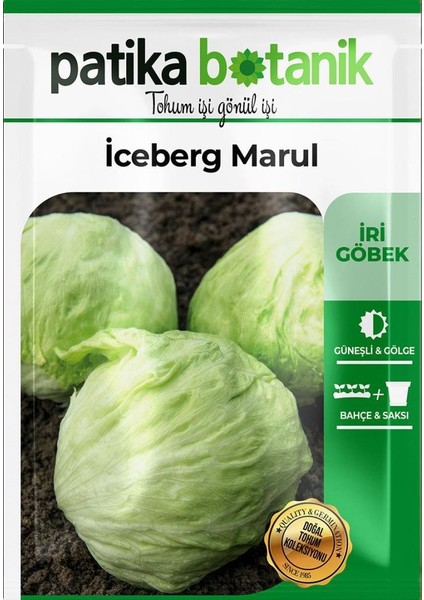 1000 Adet Göbek Iceberg Marul Tohumu