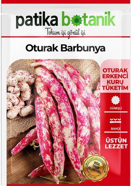 40 Adet Yerli Ata Oturak Barbunya Tohumu (Selim)