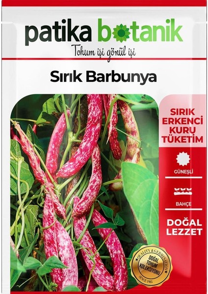 50 Adet Sırık Barbunya Tohumu (Selim) fiyatları