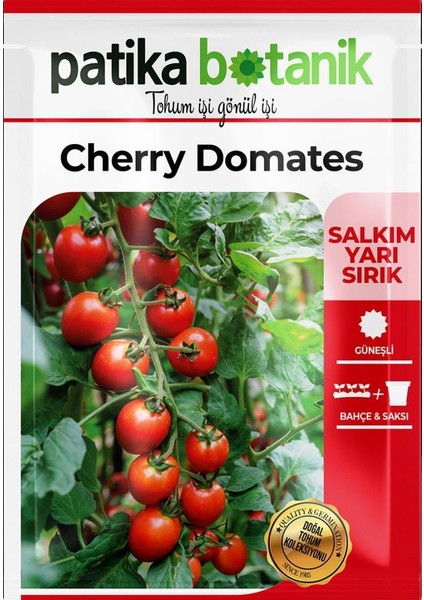 200 Adet Yerli Ata Cherry Domates Tohumu