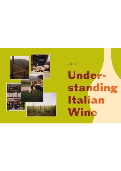 Italian Wine The History, Regions, And Grapes Of An Iconic Wine Country - Shelley Lindgren fiyatları