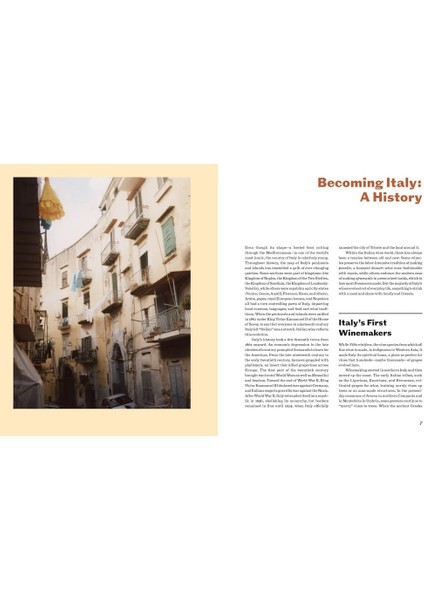 Italian Wine The History, Regions, And Grapes Of An Iconic Wine Country - Shelley Lindgren modelleri