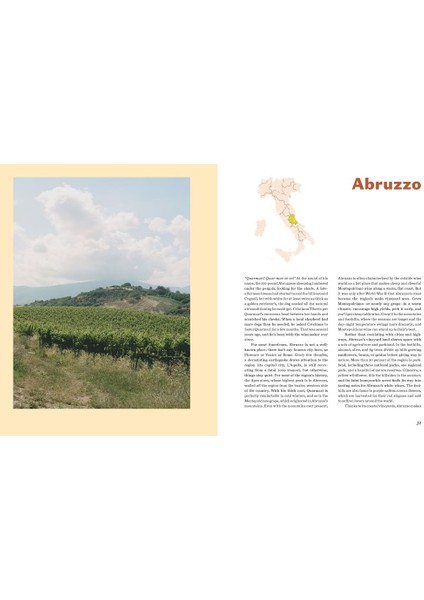 Italian Wine The History, Regions, And Grapes Of An Iconic Wine Country - Shelley Lindgren fırsatları