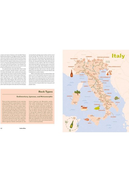Italian Wine The History, Regions, And Grapes Of An Iconic Wine Country - Shelley Lindgren indirimleri