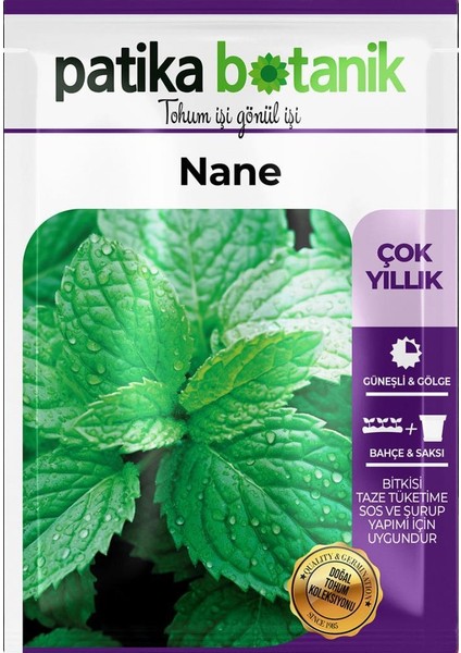 75 Adet Ata Tohumu Yerli Nane (Mentha)