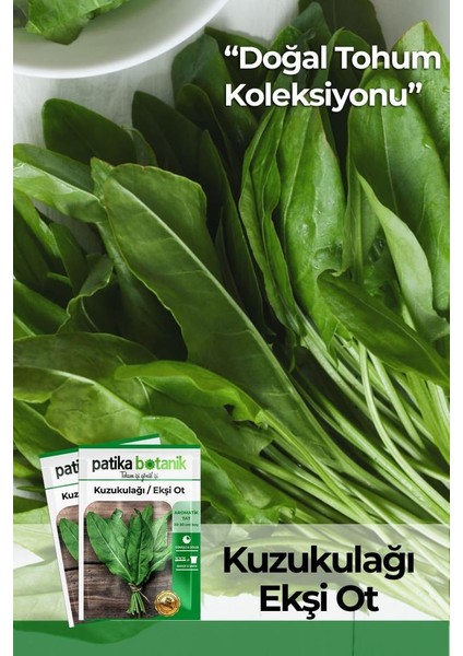 750 Adet Yerli Ata Kuzukulağı/ekşiotu Tohumu