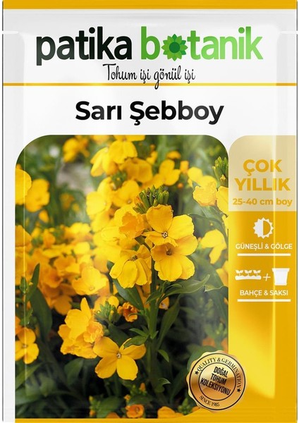 100 Adet Şebboy Sarı (Cheiranthus Cheiri) Çiçek Tohumu 100 Adet