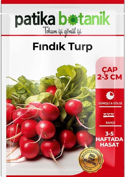 400 Adet Yerli Ata Fındık Turp Tohumu