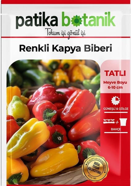 75 Adet Yerli Ata Renkli Kapya Biber Tohumu