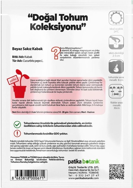 25 Adet Beyaz Sakız Kabak Tohumu modelleri