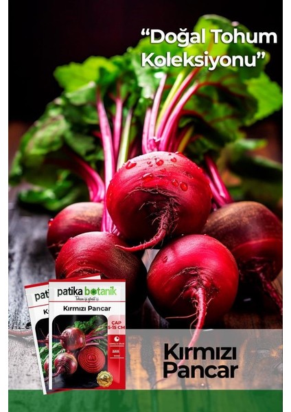 100 Adet Kırmızı Pancar Tohumu TYC00348198244 fiyatları