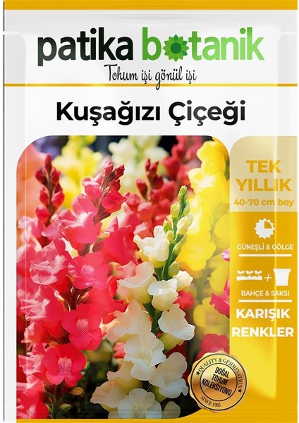 100 Adet Kuşağzı (Aslanağzı) (Antirrhinum Majus) Çiçek Tohumu