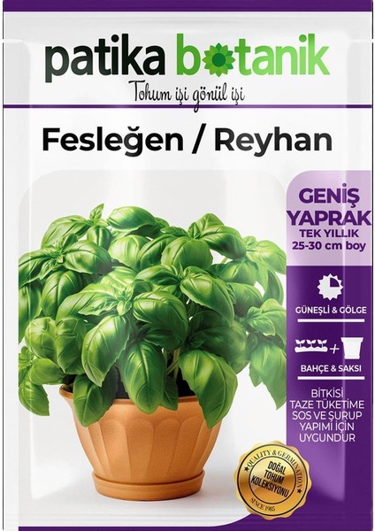 100 Adet Yeşil Fesleğen - Yeşil Reyhan (Ocimum Basilicum) Tohumu