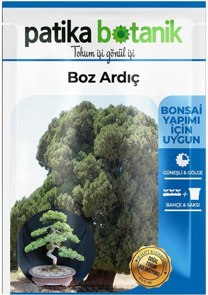 20 Adet Boz Ardıç Tohumu