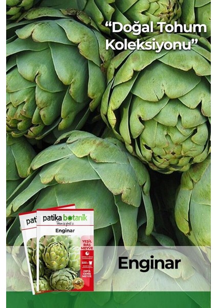 20 Adet Enginar Tohumu