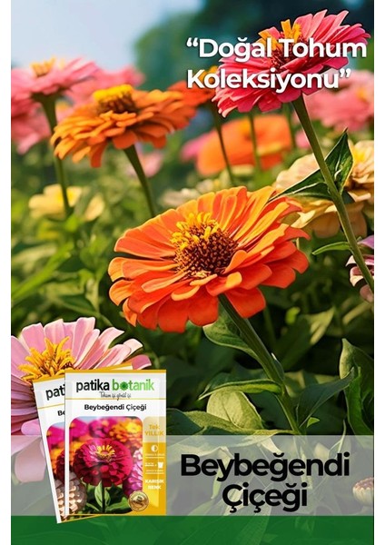 Patika Botanik 30 Adet Beybeğendi (Zinnia) Çiçek Tohumu