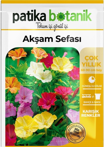 15 Adet Akşam Sefası Tohumu