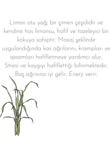 Doğal Saf Esansiyel Aromatik Yağ Bitki Serisi - 6 Adet fiyatları