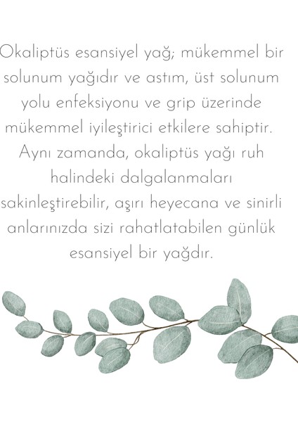 Doğal Saf Esansiyel Aromatik Yağ Bitki Serisi - 6 Adet fırsatları