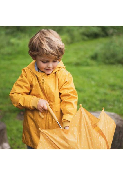 Umbrella Mr. Lion Şemsiye modelleri
