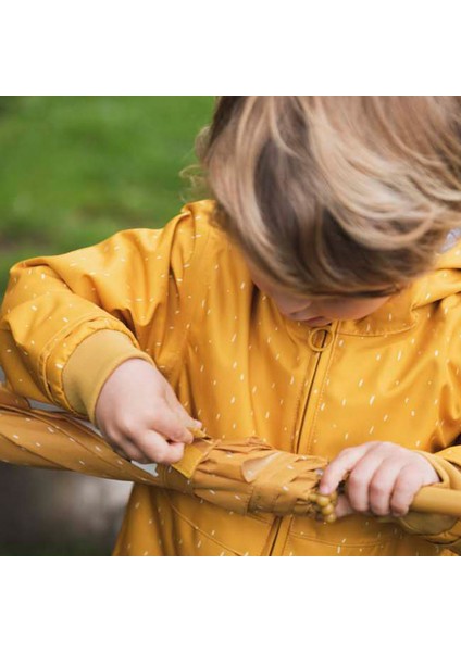 Umbrella Mr. Lion Şemsiye fırsatları