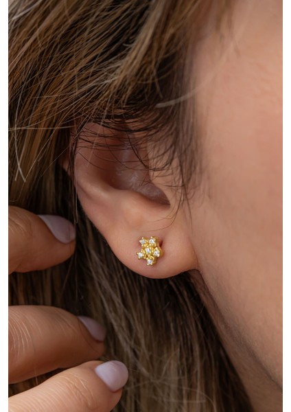 925 Ayar Gümüş Gold Kaplama Minimal Kartanesi Küpe modelleri