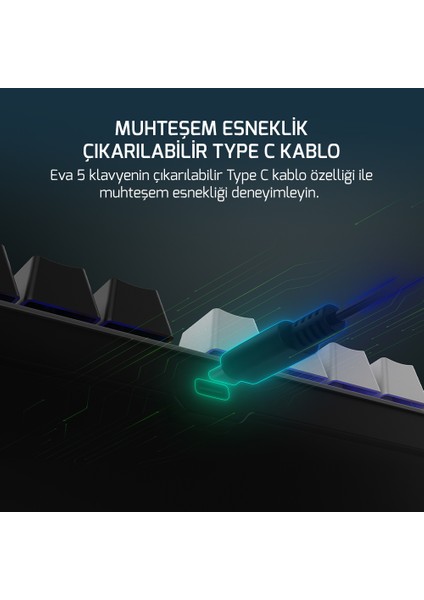 Eva 5 60M Mekanik Blue Switch Türkçe Q 88 Tuş USB Gaming Klavye - 3 Yıl Garantili