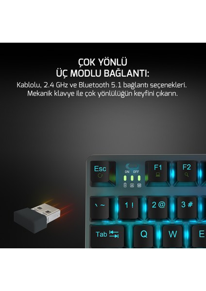 GamePower Eva 7 60M Mekanik Kablolu, 2.4Ghz, Bluetooth 3 Mod Blue Switch Türkçe Q 88 Tuş USB RGB Gaming Klavye - 3 Yıl Garantili