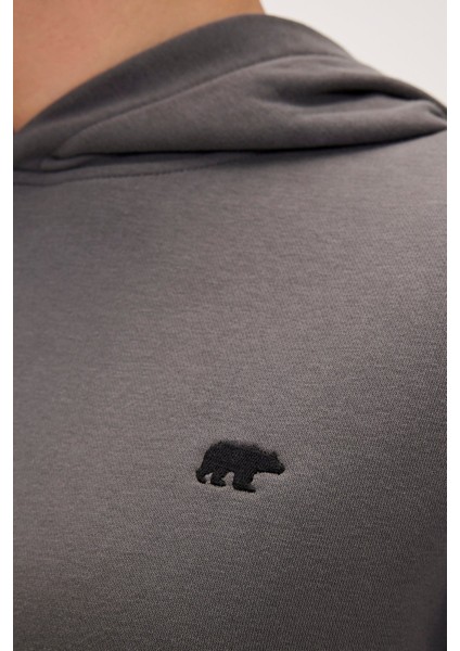 Erkek Gri Drake Hoodie Os Sweatshirt 24.02.12.014-C118
