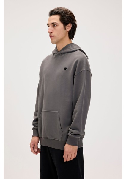 Erkek Gri Drake Hoodie Os Sweatshirt 24.02.12.014-C118