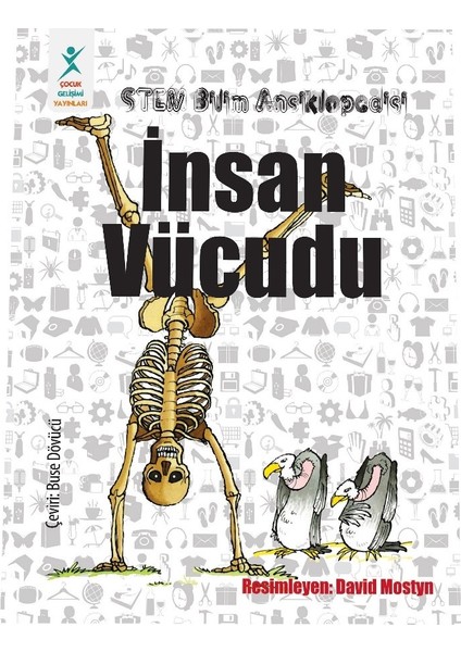 Stem Bilim Ansiklopedisi : İnsan Vücudu