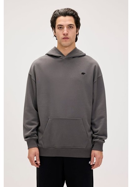 Erkek Gri Drake Hoodie Os Sweatshirt 24.02.12.014-C118