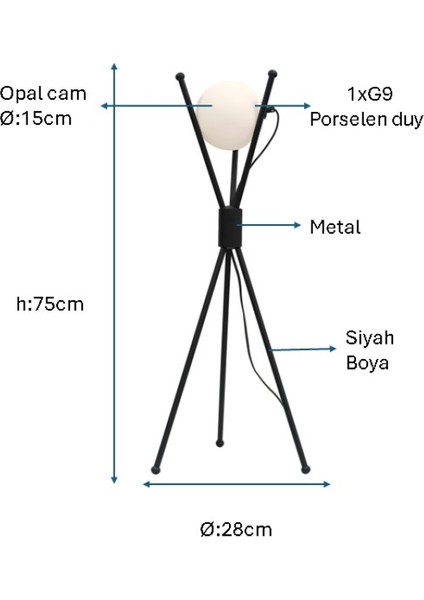 Siyah Boyalı Modern Masa Lambası Plc-1205-M-Bsy