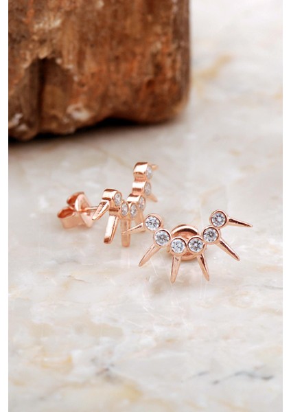 Taç Tasarım Rose Gümüş Küpe 6943 fiyatları