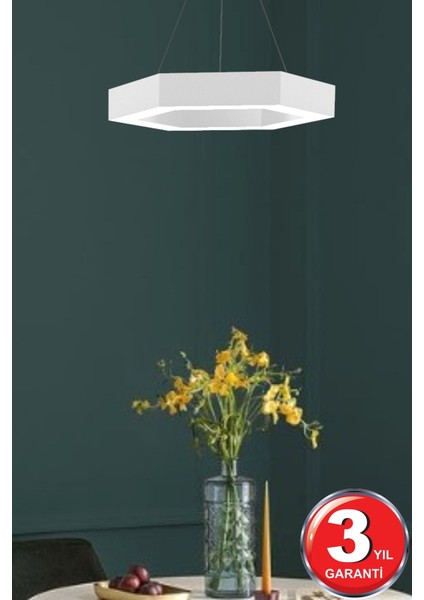 Beyaz Led Avize, Modern Tasarım, Salon, Mutfak, Oturma Odası, Yatak Odası İçin Şık Işık modelleri