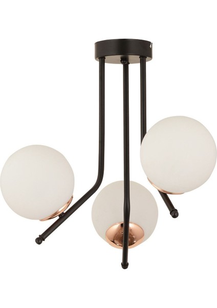 3'lü Siyah Bakır Modern Avize, Metal, Salon, Mutfak, Yatak Odası, Modern Tasarım