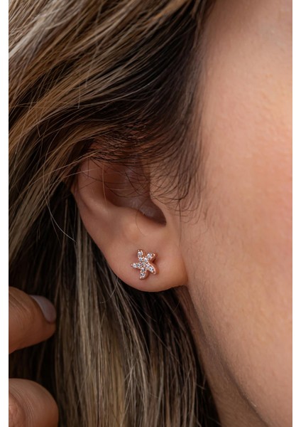 925 Ayar Gümüş Rose Kaplama Minimal Deniz Yıldızı Küpe fiyatları