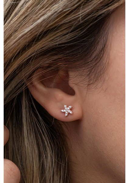 925 Ayar Gümüş Rose Kaplama Minimal Deniz Yıldızı Küpe modelleri